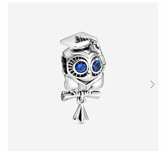 Wise Owl Graduation charm